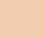 Compact Foundation 01 - Purobio - immagine 2
