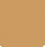 BIOSENSE Fondotinta pelli miste e grasse Cream To Powder  02 NUDE - Lepo - immagine 2